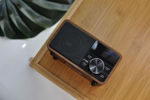 袖珍藍(lán)牙音箱爛大街 收音機(jī)傳奇老廠精品恨不得拿下所有設(shè)計獎