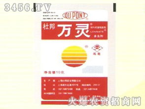 鄭州市邙山區(qū)農(nóng)業(yè)綜合服務公司誠邀新疆區(qū)域代理商